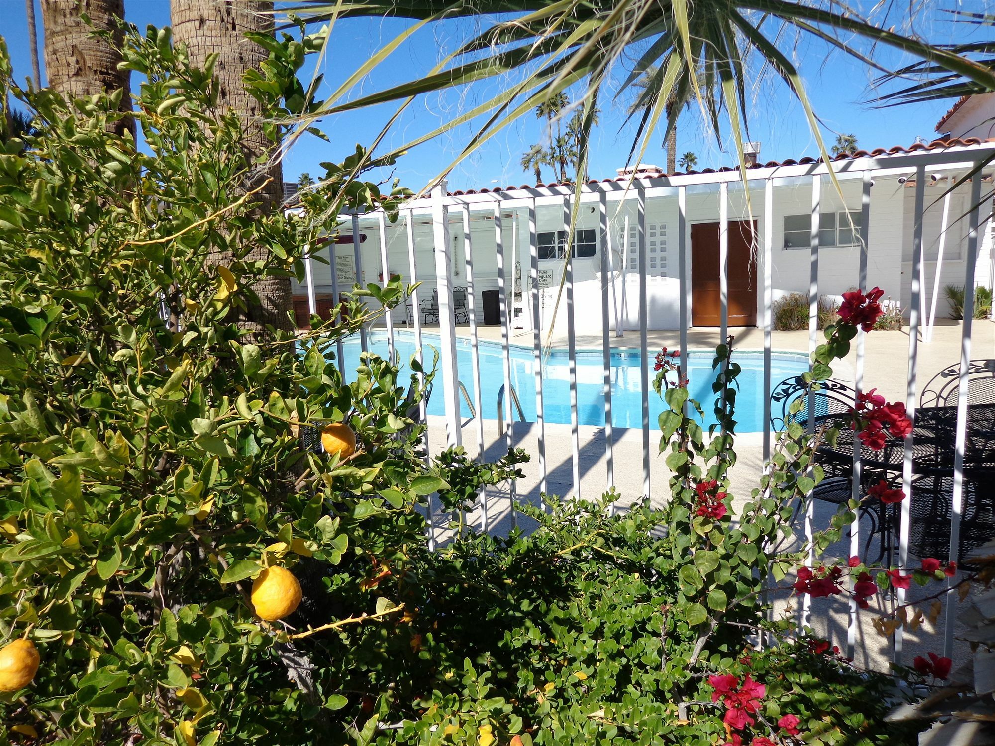 יומה Historic Coronado Motor Hotel By Oyo מראה חיצוני תמונה